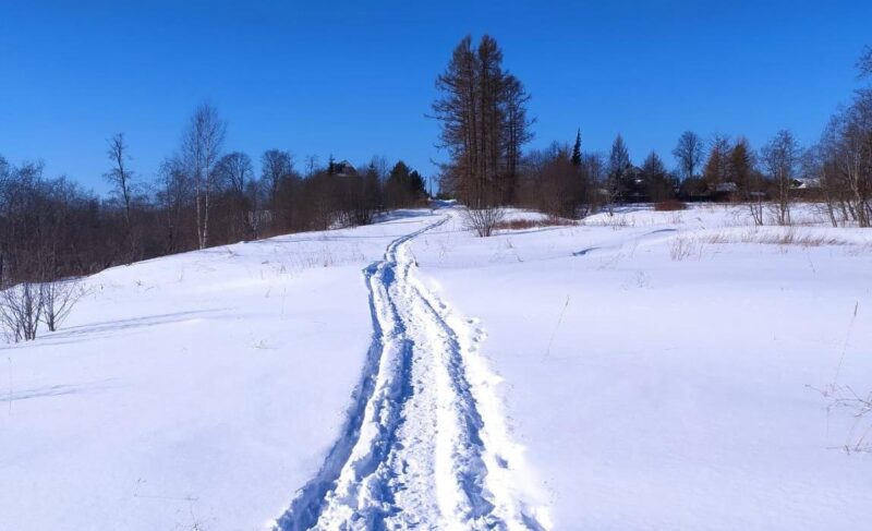 Пропавшего в Рыбинске мужчину нашли в районе Михайловского. Он погиб