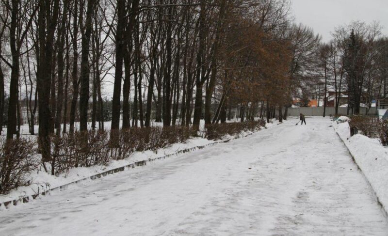 В Волжском парке выпилят 60 деревьев. Взамен летом обещают посадить новые