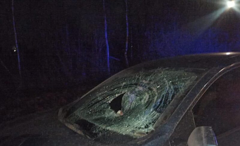 В ДТП на Окружной погиб пешеход