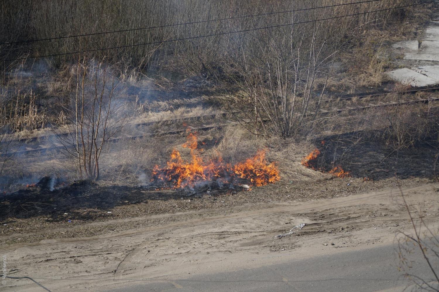 Поджог травы может обернуться штрафом или сроком. В регионе объявили о  начале пожароопасного сезона | Черёмуха