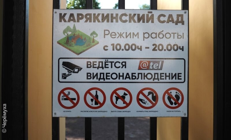 За туалеты в Карякинском саду будет отвечать МУП «ДЭС»