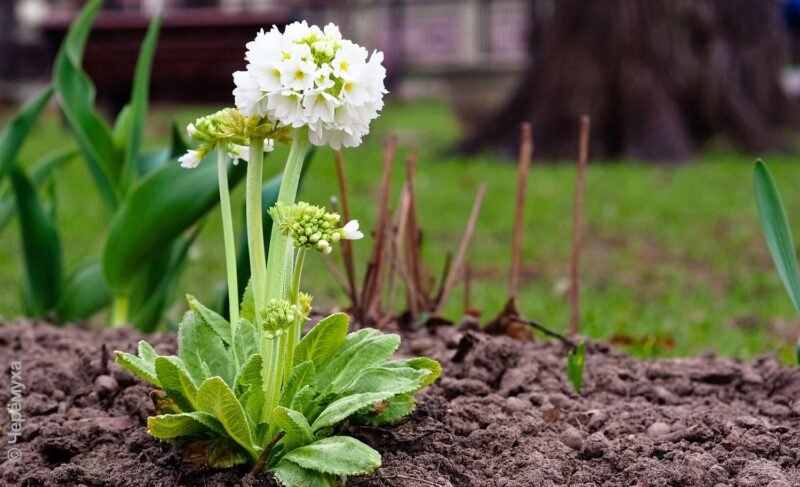 Погода испортится? Каким будет конец апреля в Рыбинске
