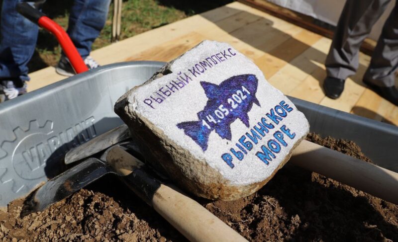 В Рыбинском районе будут выращивать форель