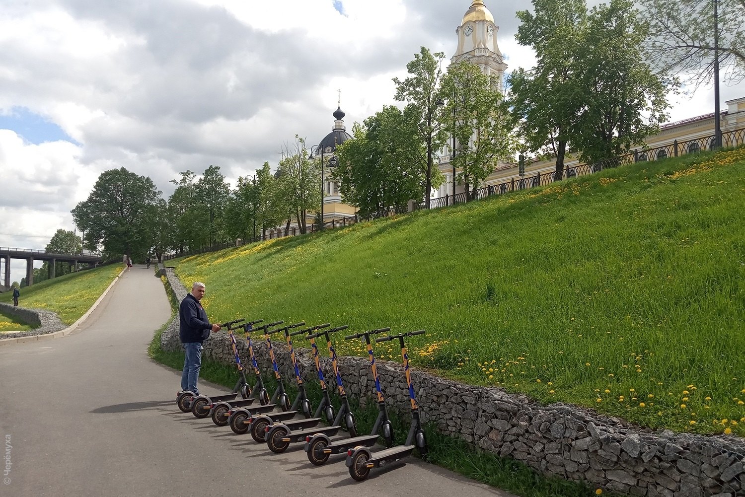 Рыбинск река черемуха