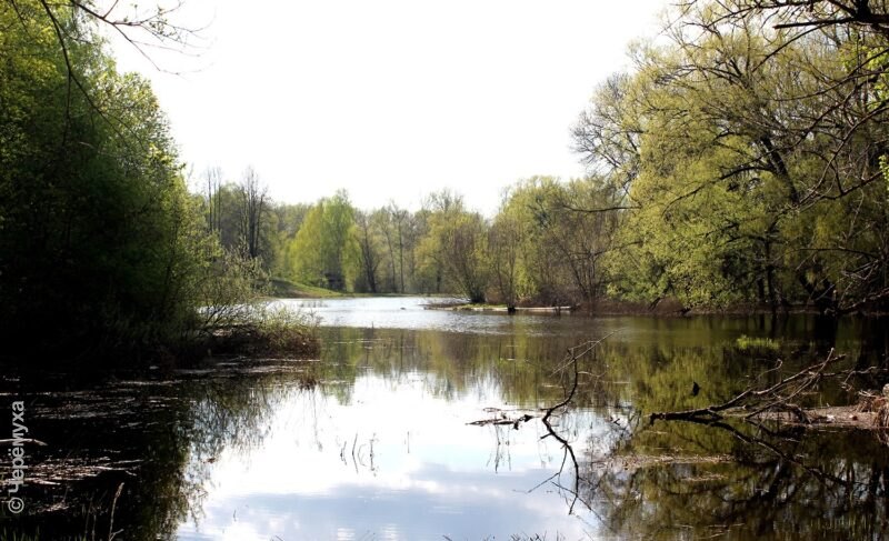 В Рыбинске будет тепло и даже жарко. Но в некоторые дни ожидается прохладная погода