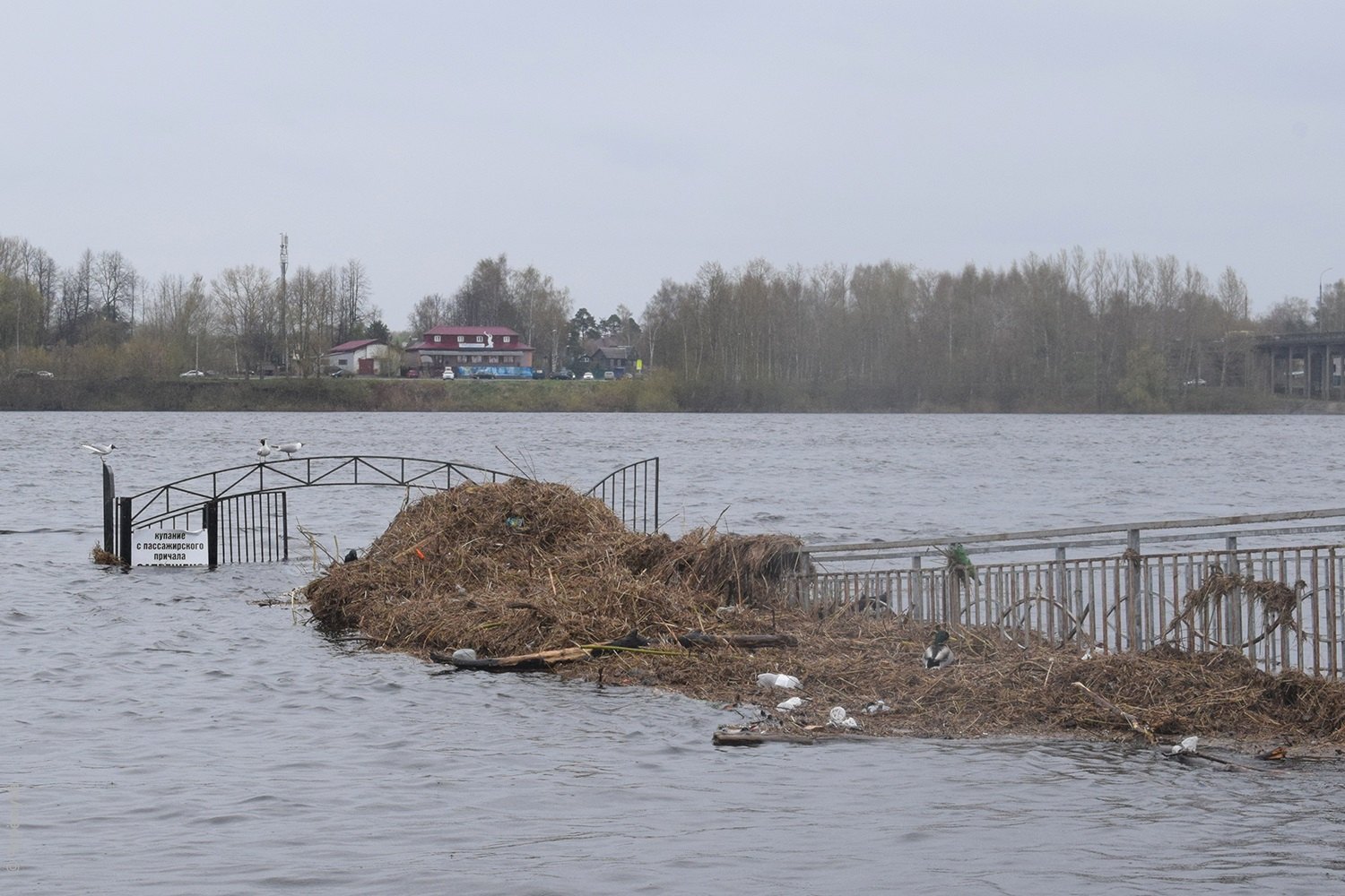 История вода уходит. Подтопления Великий Новгород 2023.