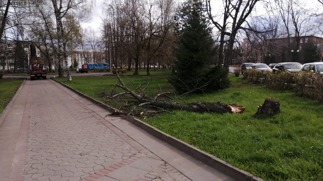 Черемуха новости рыбинска сегодня свежие. Сильный ветер в Рыбинске. Непогода в Рыбинске. Последствия сильного ветра в Рыбинске. Дерево в Рыбинском районе упало.