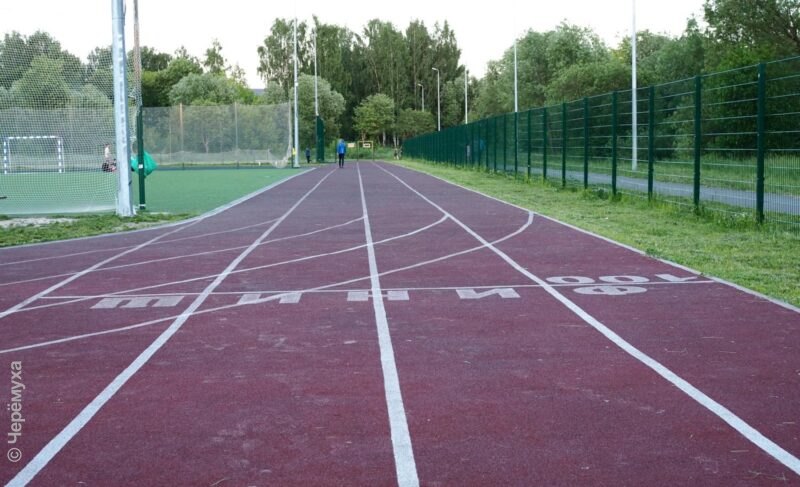 В Ярославской области выделят 50 миллионов рублей на ремонт школьных стадионов