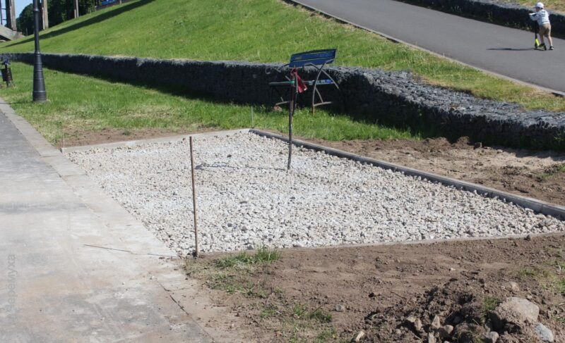 Безвозмездно, то есть даром: городская администрация выделила 10 участков земли под прокаты электросамокатов