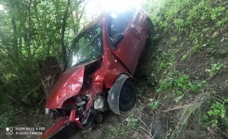 ДТП с лосем, столкновение авто и два сбитых велосипедиста: один человек погиб, семь пострадали