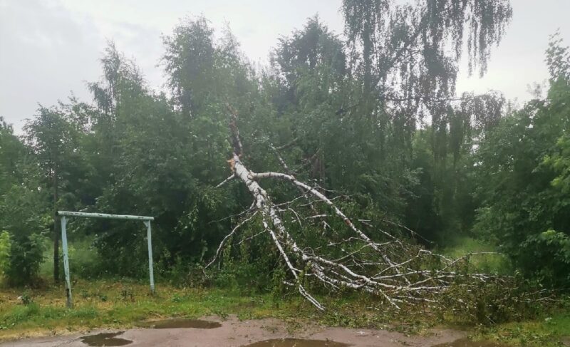 Упавшие деревья и столбы: гроза в Рыбинске внесла временные коррективы в маршруты троллейбусов