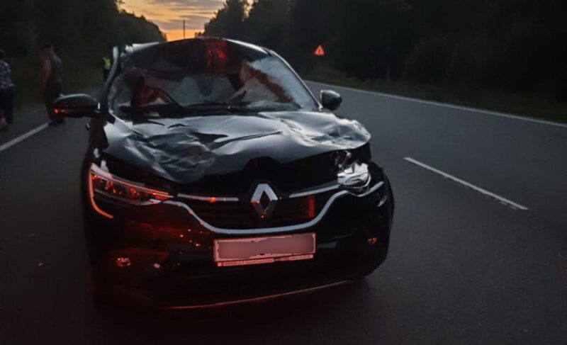 «Пьяная» авария во дворе, сбитый подросток и столкновение с лосем: сводка ДТП в Рыбинске и районе