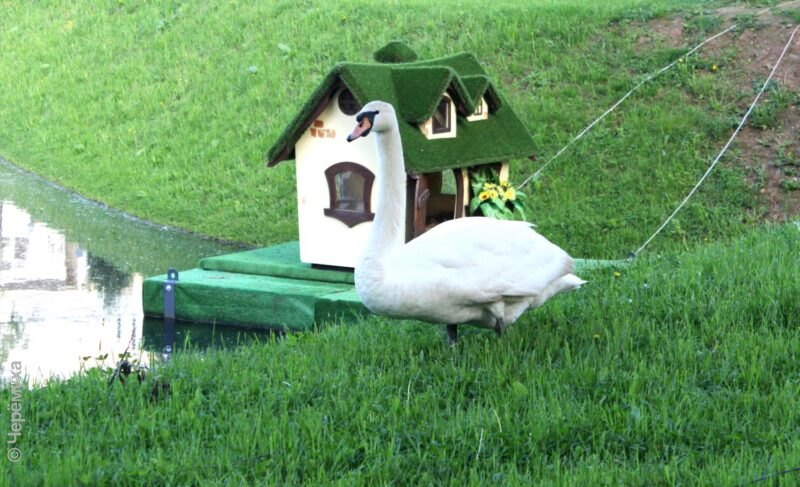 Рыбинцев ждёт жаркая неделя. Прогноз погоды