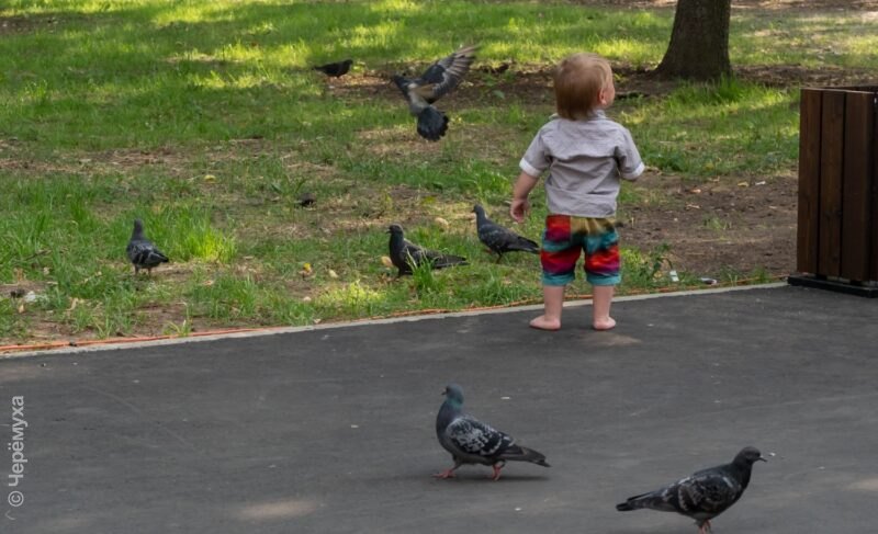 Какие имена в Рыбинске на пике популярности по итогам 2023-го? Среди мужских «лидеры» поменялись