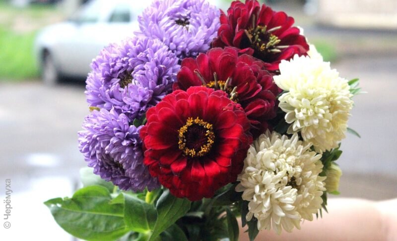 Ещё несколько дней тепла в Рыбинске, а потом станет прохладнее