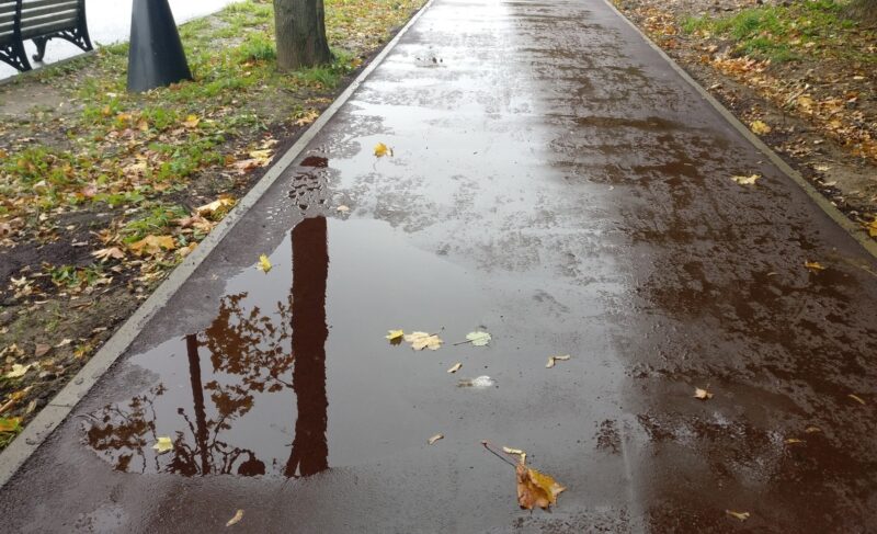 Готовность 60%: срок окончания работ в Волжском парке снова перенесли