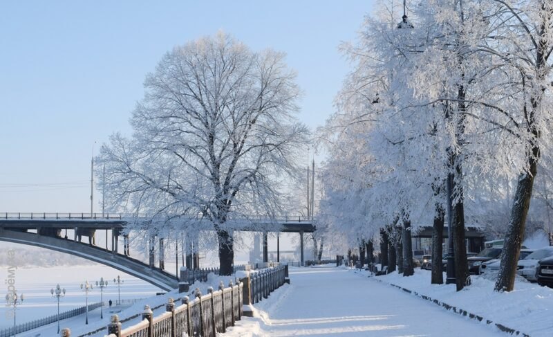 Мороз крепчает: при какой температуре школьникам можно не идти на уроки. Рекомендации областного департамента
