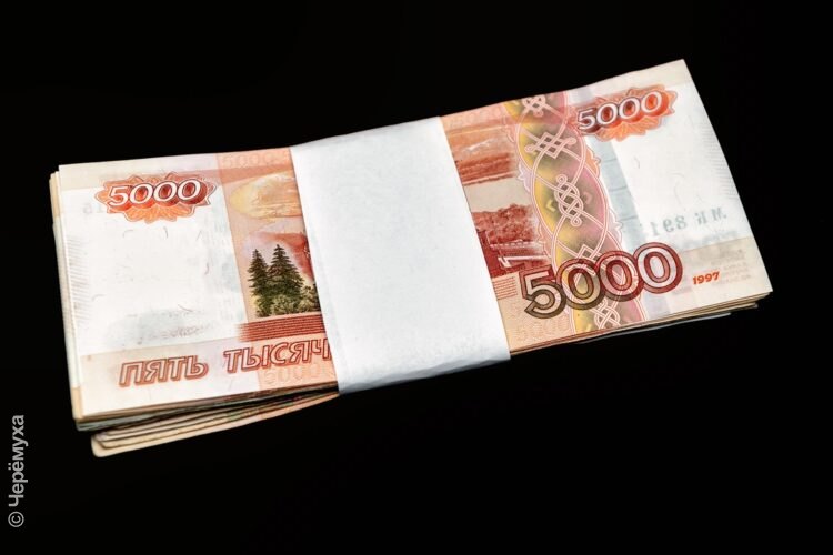В Рыбинском районе школьный бухгалтер присвоила более пяти миллионов рублей