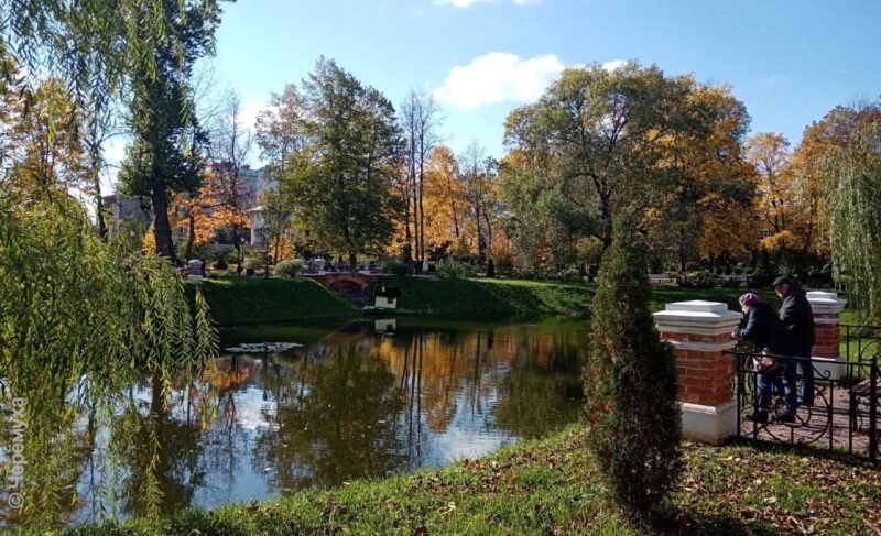 Карякинский сад обещают не закрывать на зиму