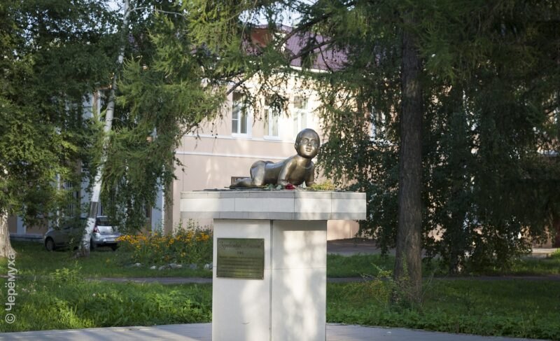 Какую поддержку могут получить беременные в Ярославской области