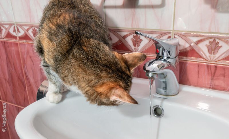 «Северный водоканал» планирует крупные работы в Рыбинске. Воду отключат на сутки