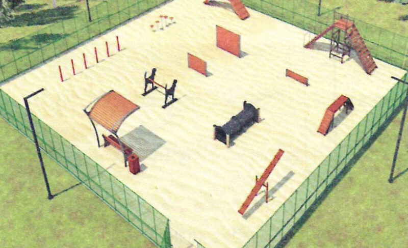 Каким будет наполнение площадок для выгула собак в Рыбинске