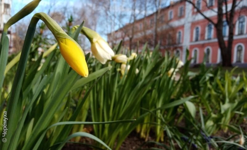 Похолодание ненадолго. В Рыбинске вновь потеплеет