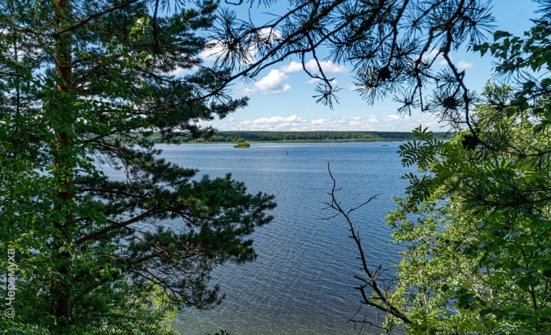 Солнечно и комфортно. В Рыбинске станет чуть прохладнее