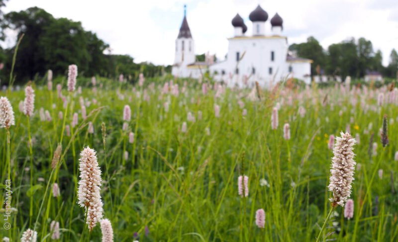 В Хопылёво пройдёт освящение престолов восстановленного храмового комплекса
