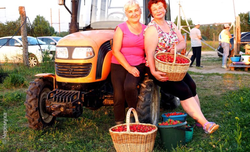 Как в Ярославской области обстоят дела с сельским хозяйством?