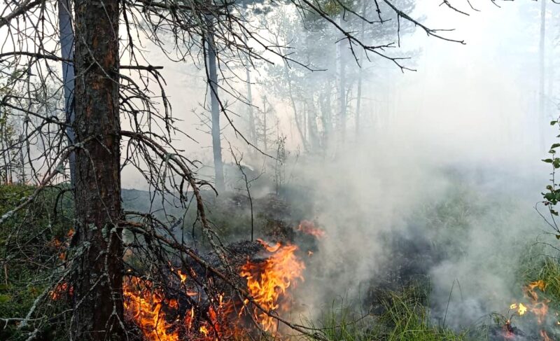 Угрозы населённым пунктам нет: в Рыбинском районе продолжают тушить торфяники