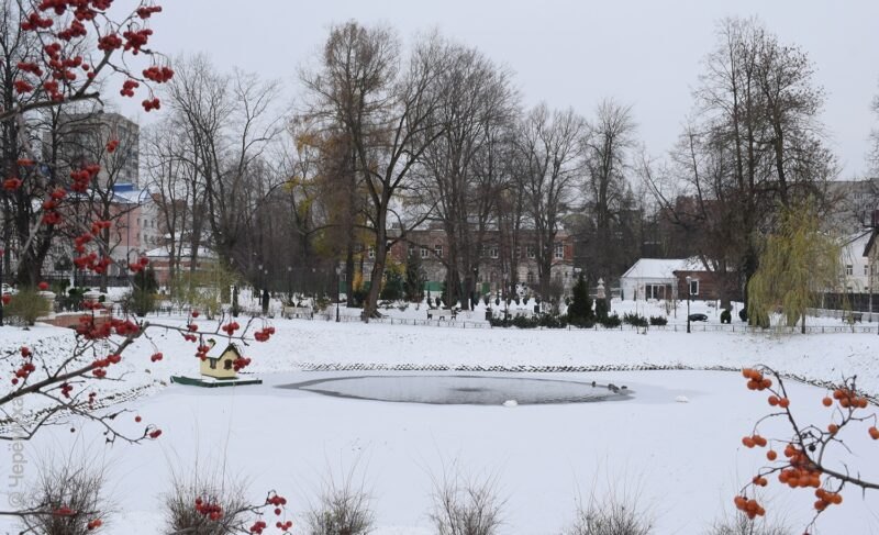 Кассационный суд оставил в силе решение о возвращении Карякинскому саду статуса особо охраняемой территории