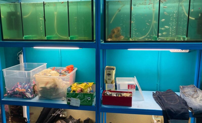 ЭкоДом в Рыбинске переехал. Акции и мастер-классы будут проходить в том же режиме