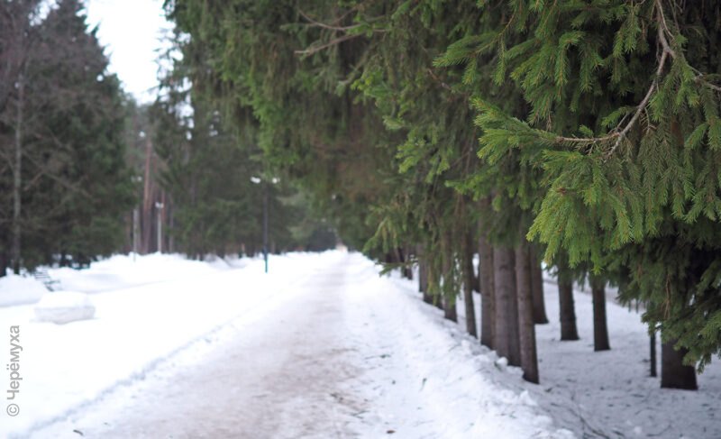 Снегопад-снегопад. Мороз в Рыбинске ослабнет на следующей неделе