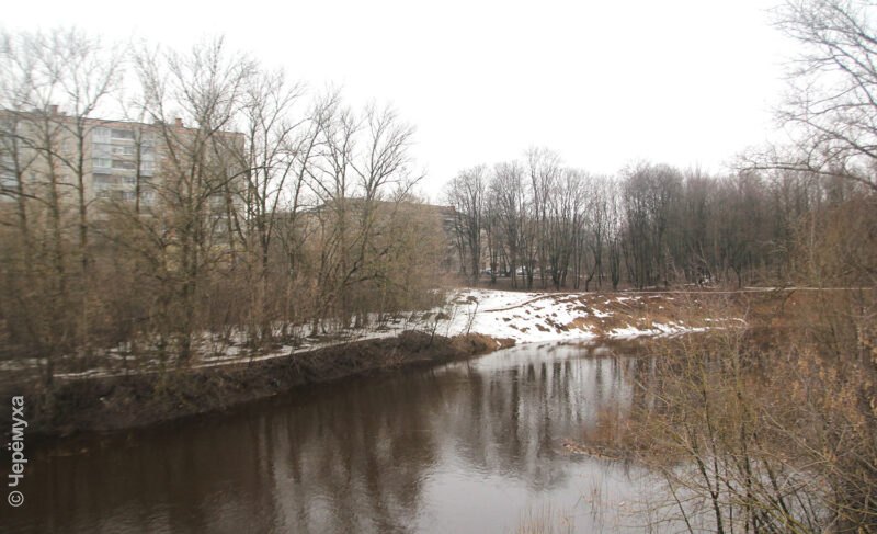 Теперь уж точно весна? В Рыбинске будет тепло, но с дождями