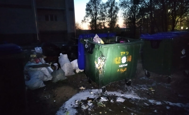 В Северном по трём адресам горели мусорные контейнеры
