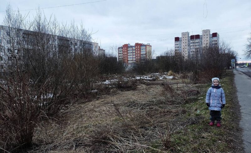 Глава Рыбинска: за благоустройство сквера на Приборостроителей проголосовало большинство