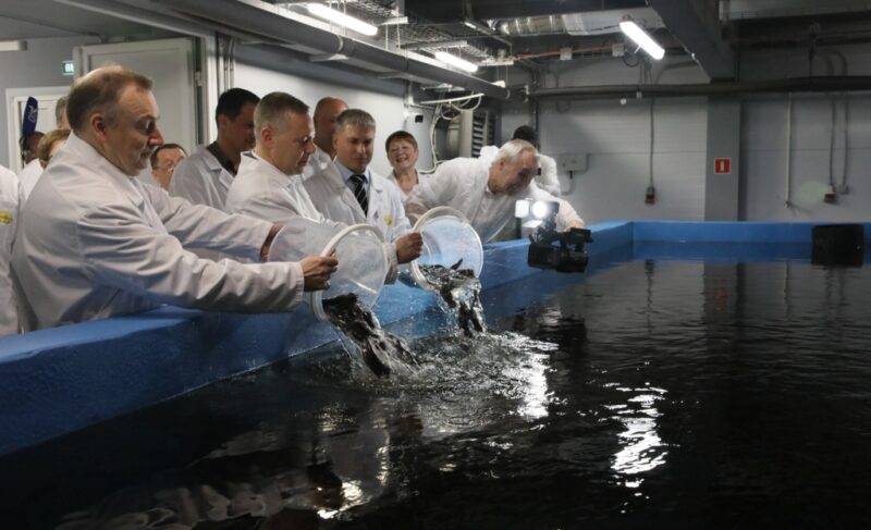 Объём инвестиций — 1,7 миллиарда: под Рыбинском открыли комплекс по выращиванию рыбы