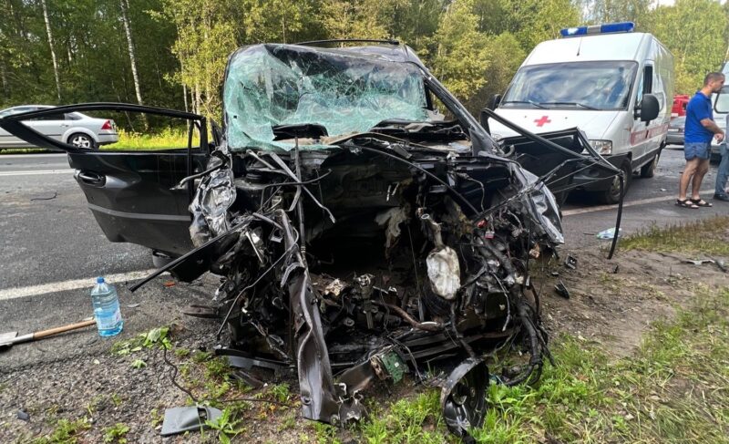 Виновной признали, но в колонию пока не отправили. Суд вынес приговор по делу о смертельном ДТП