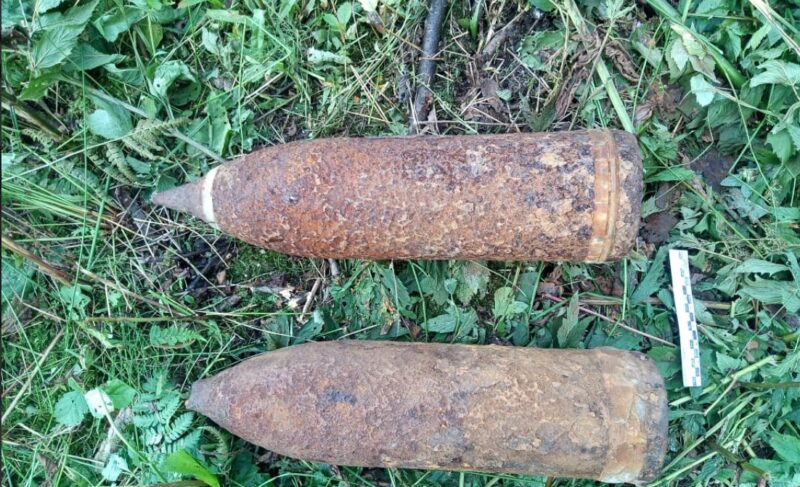 В Рыбинском и Некоузском районах нашли снаряды. Боеприпасы обезвредили