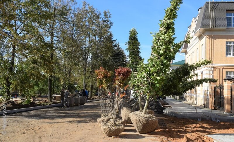 Черёмуху в Рыбинске высаживать не планируют. Кто решает вопросы озеленения и что с планами на 2025-й