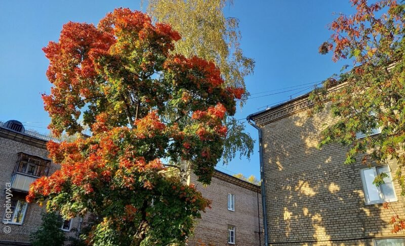 Вместе с октябрём в Рыбинск придёт похолодание