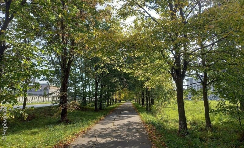 Сентябрь продолжит радовать теплом. Прогноз погоды в Рыбинске
