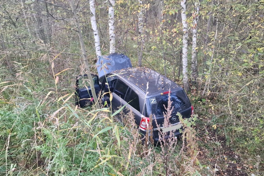 Два человека погибли в ДТП на рыбинских дорогах: сводка происшествий от  ГИБДД | Черёмуха