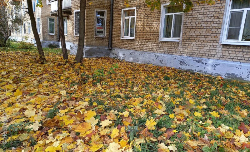 Если снег, то вместе с дождём. Какой будет погода в Рыбинске в ближайшие дни?