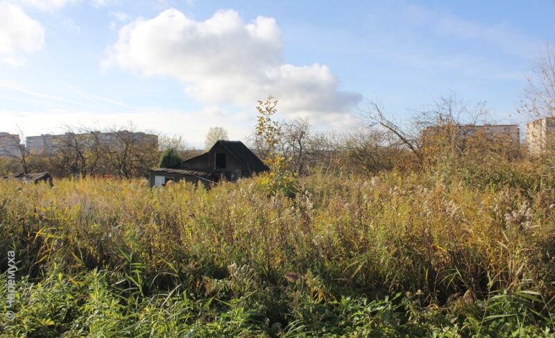 Пять возгораний за восемь дней. В Рыбинске участились пожары в «Зелёной зоне»