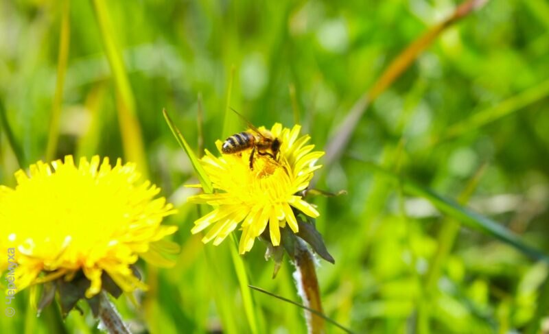 Днём тепло, ночами — прохладно. А дожди будут?