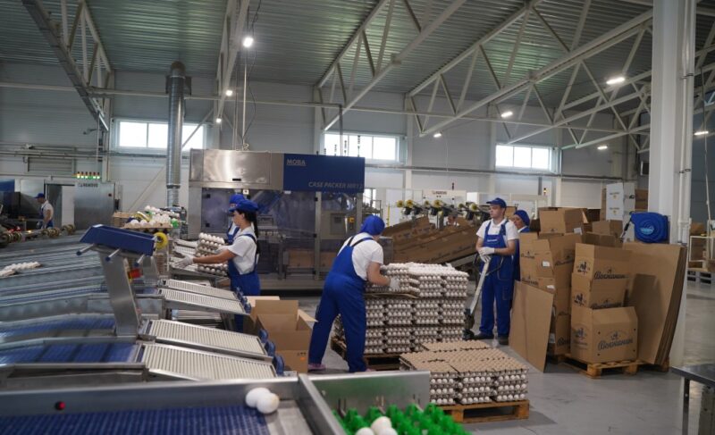 Обсудили проблемы отрасли. Комитет Облдумы провёл заседание на птицефабрике «Волжанин»