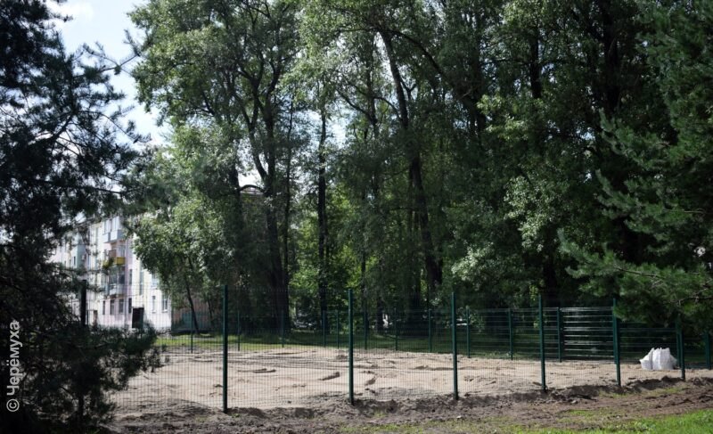 Горадминистрация: площадки для выгула собак размещают в соответствии с градостроительными требованиями