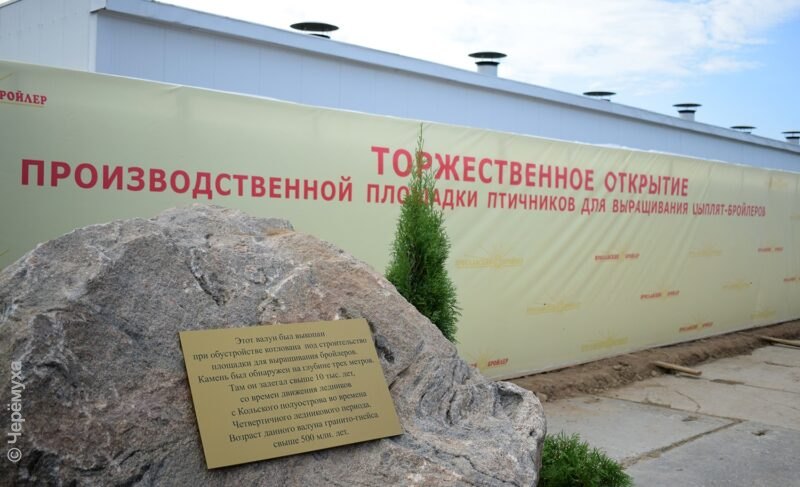 «Увеличим производство на 15%»: на «Ярославском бройлере» открыли четыре новых птичника
